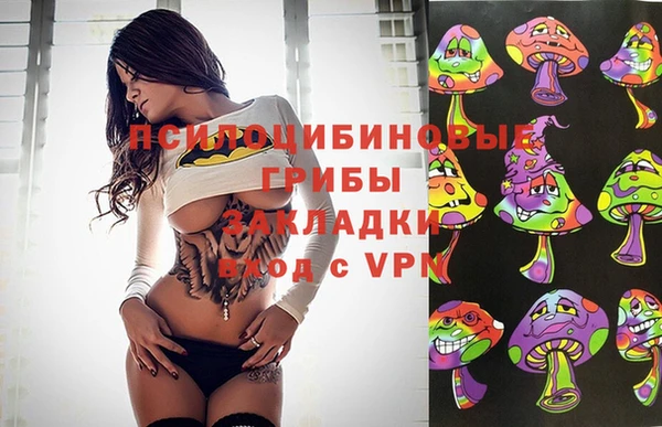 MDMA Premium VHQ Михайловка