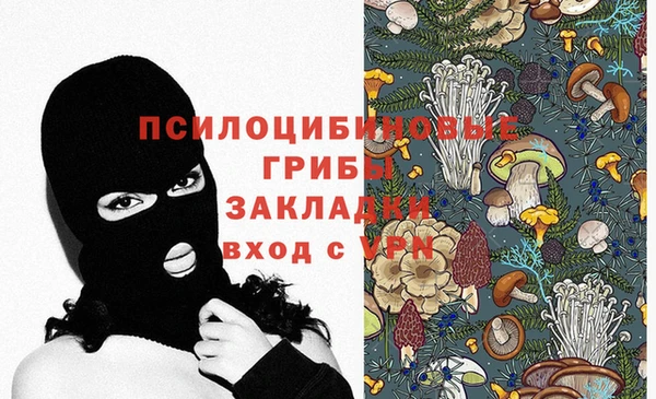 MDMA Premium VHQ Михайловка