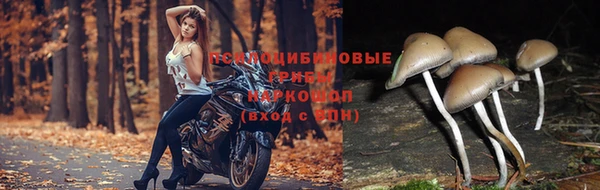 спайс Наволоки