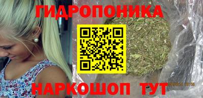 гидропоника Берёзовский