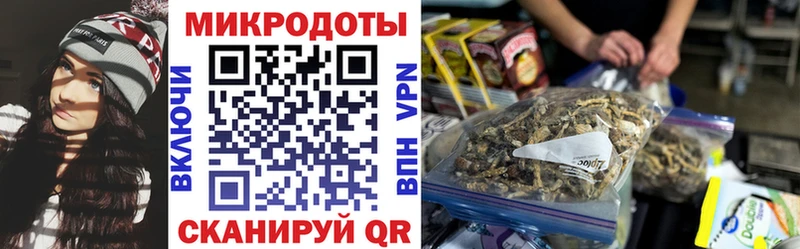 Галлюциногенные грибы Magic Shrooms  Волгоград 