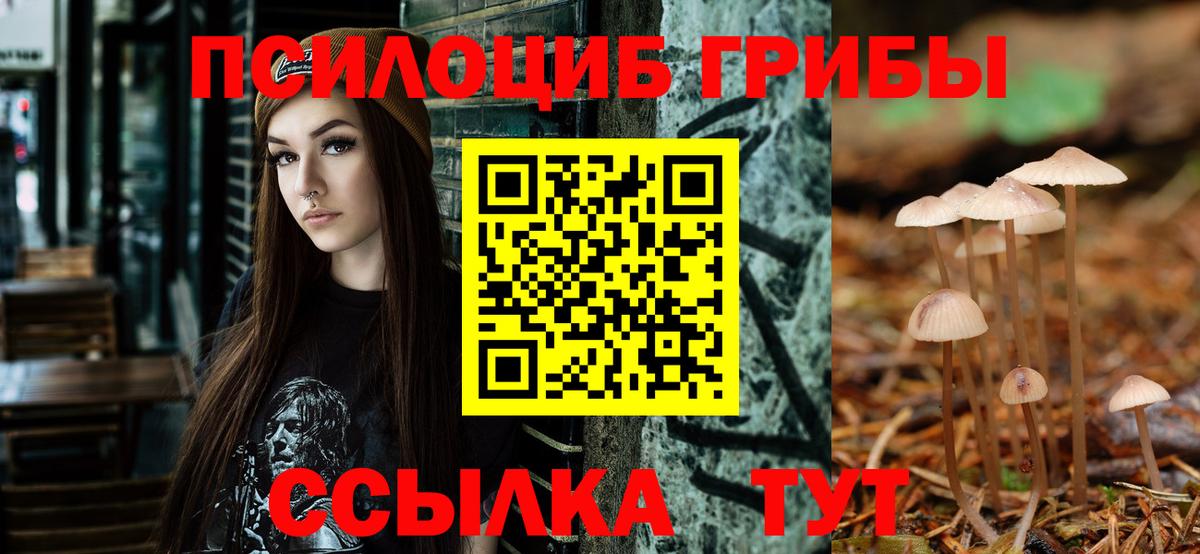 Псилоцибиновые грибы мухоморы Волгоград