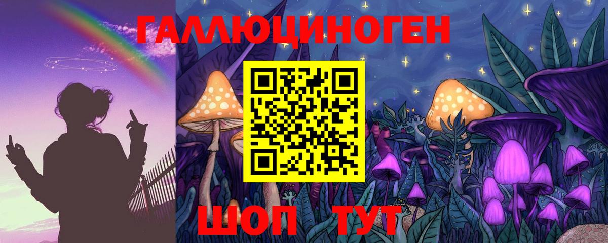 Галлюциногенные грибы Cubensis  Волгоград  Псилоцибиновые грибы GOLDEN TEACHER 