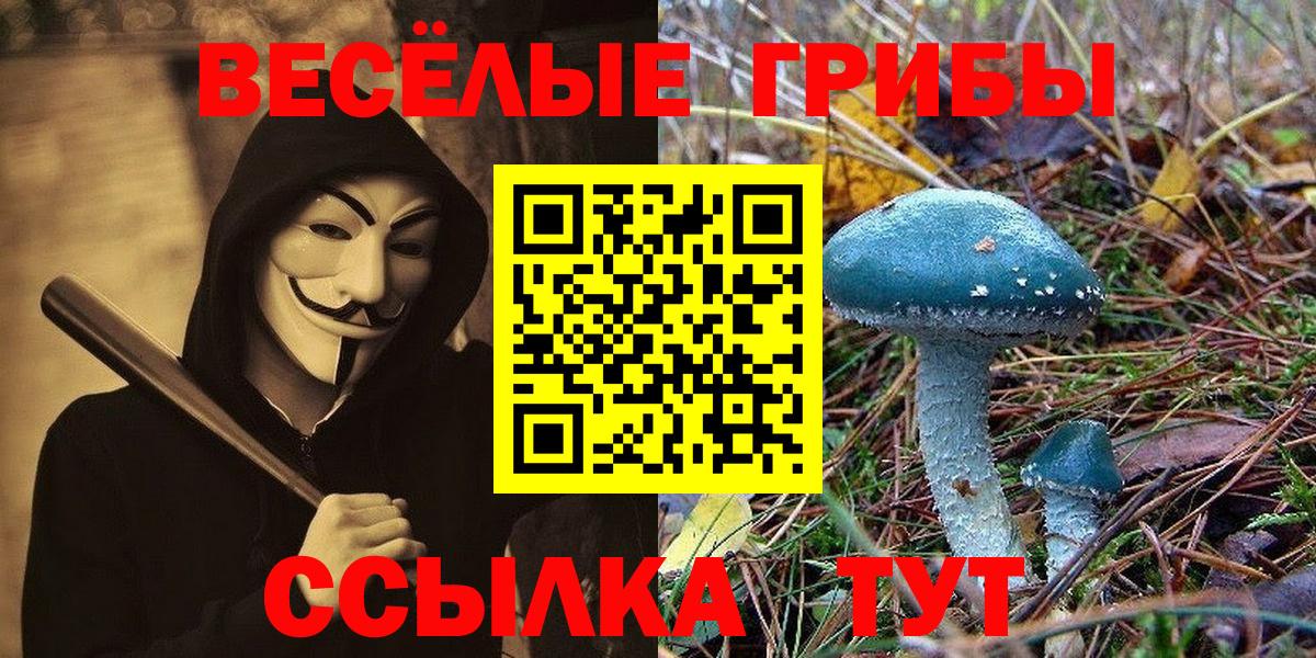 Псилоцибиновые грибы ЛСД  Вход с VPN  даркнет сайт  Галлюциногенные грибы Cubensis  Волгоград 